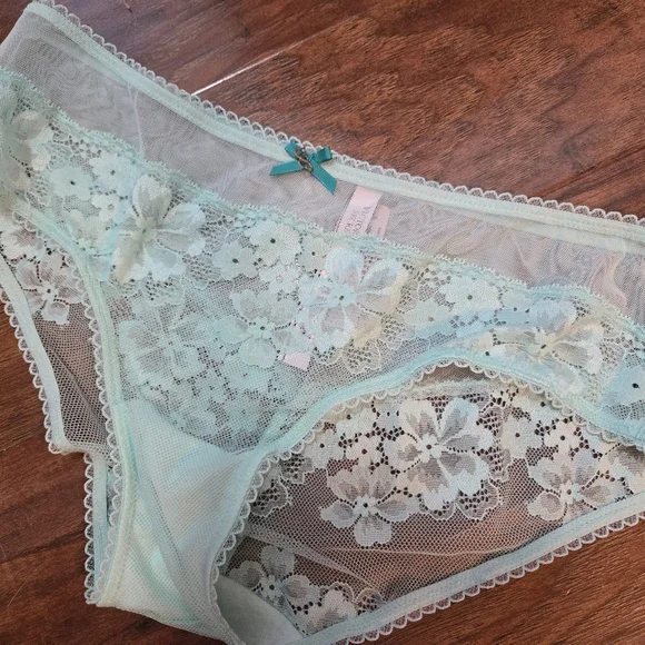 NWT Victoria’s Secret Body By Victoria Mint Floral Lace Mesh Hiphugger Panty L - Picture 1 of 6